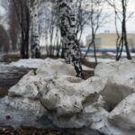 Пермские ученые рассказали, чем опасен тающий снег