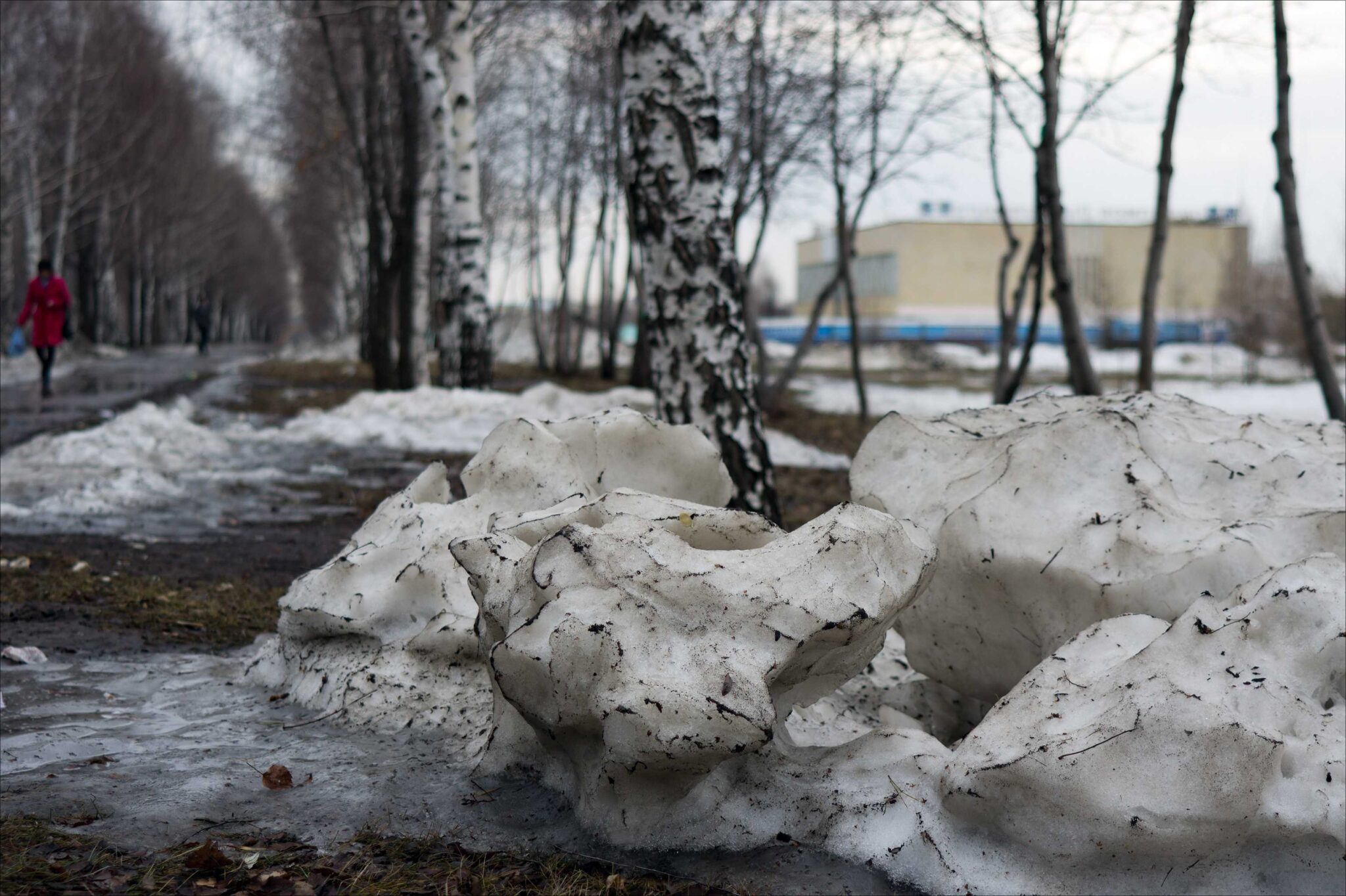 Снег