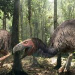 Как птицы стали самой успешной группой динозавров?