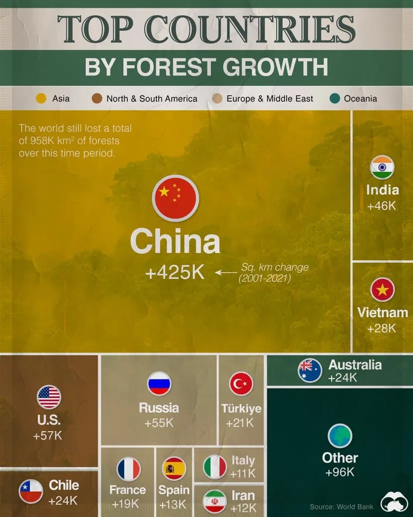 Рейтинг стран по масштабам восстановления лесов / © Voronoi