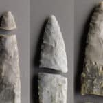Каменными наконечниками древние охотники не только убивали животных, но и разделывали туши
