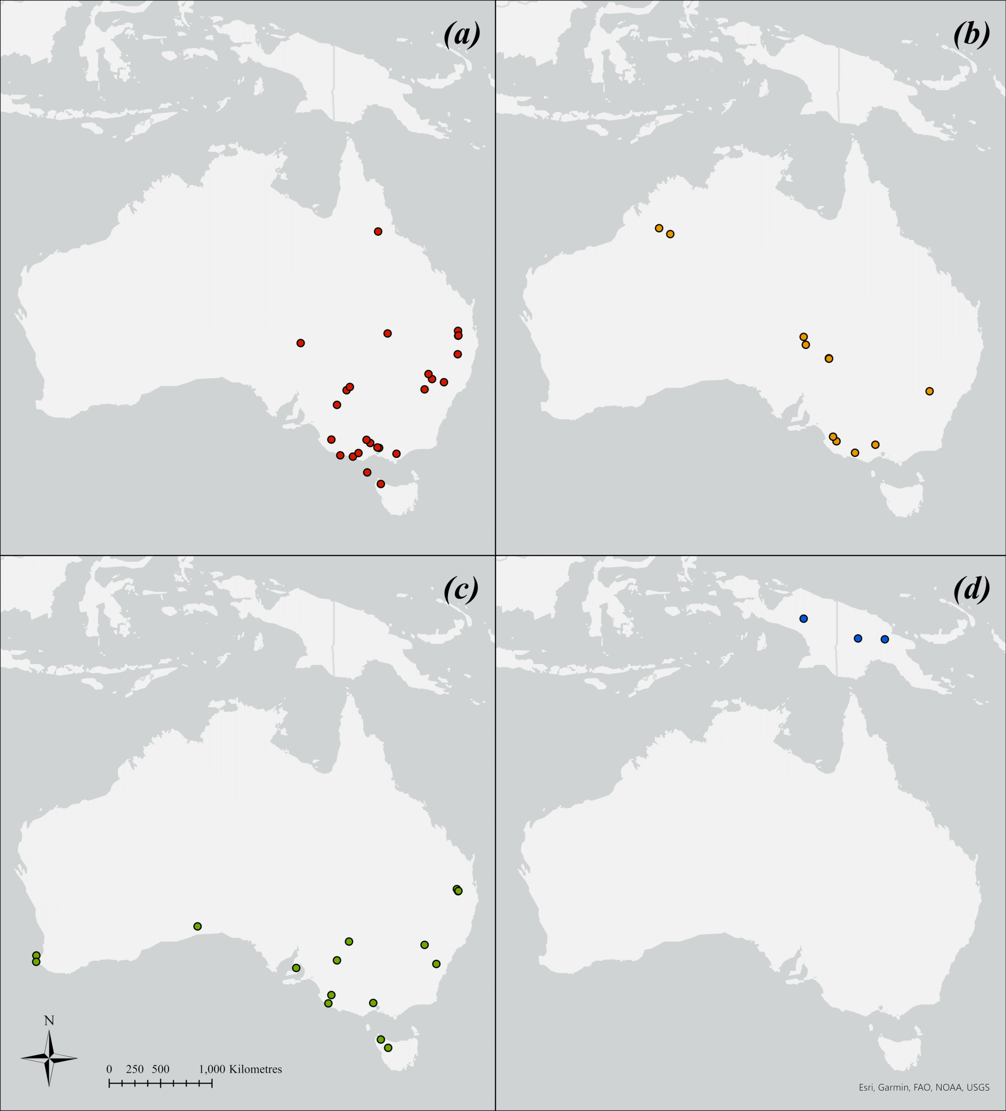 Местонахождения останков каждого из четырех плейстоценовых видов Protemnodon
