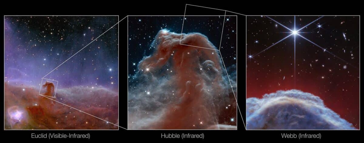 Коллаж из трех изображений туманности Конская Голова, полученных телескопами «Евклид» (слева), «Хаббл» (по центру) и «Джеймс Уэбб» (справа) / ©  ESA / Webb, NASA, CSA, K. Misselt (University of Arizona) and A. Abergel (IAS/University Paris-Saclay, CNRS)