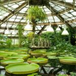 Ботанические сады и их история