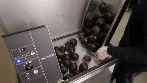 Загрузка авокадо в автокадо / © newsroom.chipotle.com
