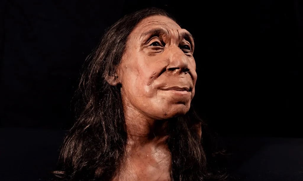 Портрет женщины-неандертальца из пещеры Шанидар / © BBC Studios / Jamie Simonds