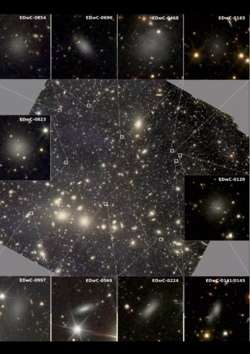 Увеличенные изображения скопления Персея, полученные «Евклидом», показывают карликовые галактики, пережившие взаимодействие с более крупными галактиками / © Euclid consortium, LMU, MPE
