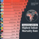 Инфографика: страны с самым высоким уровнем младенческой смертности