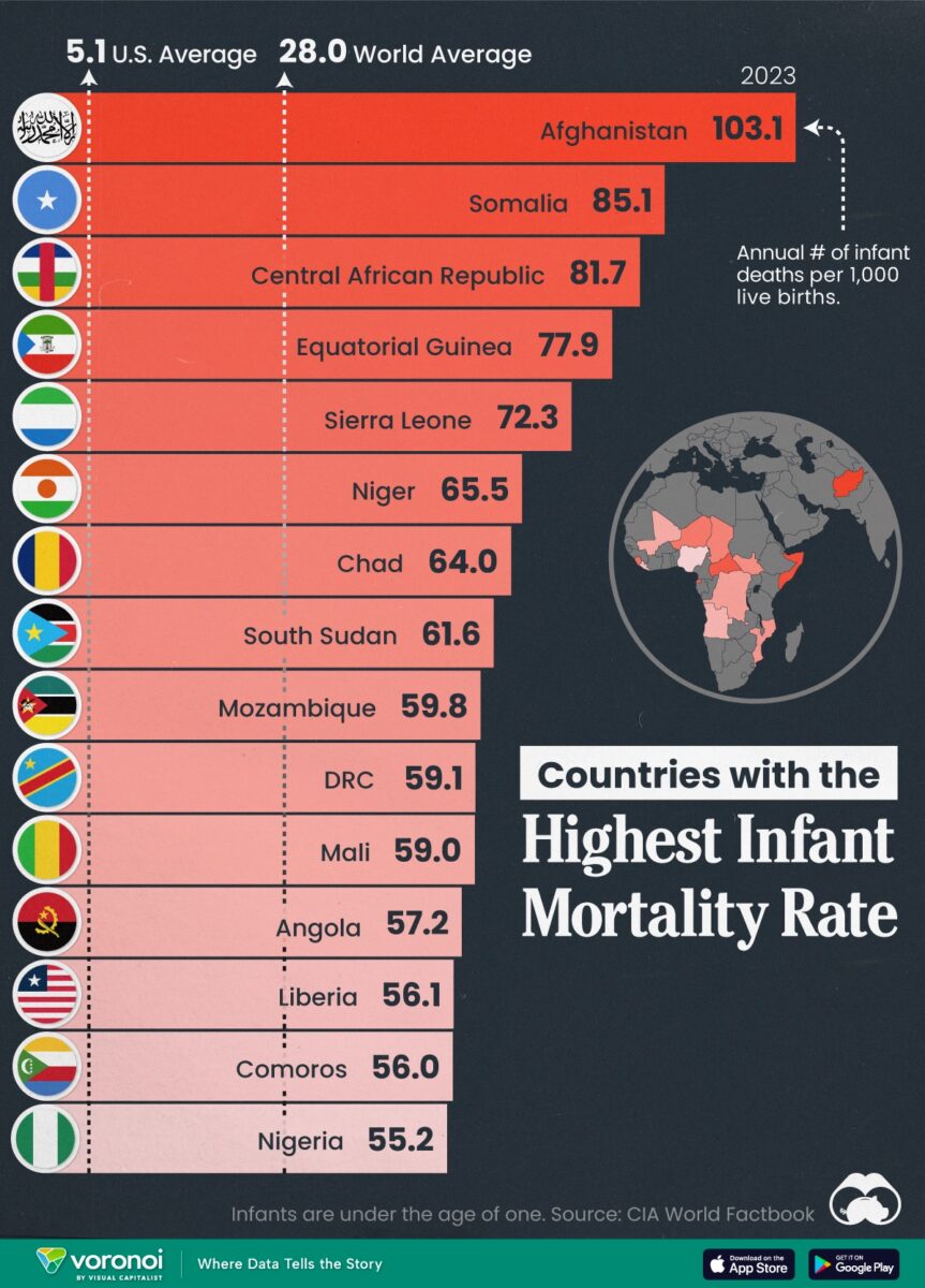 Страны с самым высоким уровнем младенческой смертности / © Voronoi / Visualcapitalist