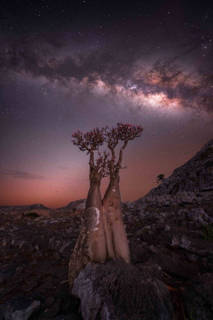 Остров Сокотра, Йемен

/ ©  Rositsa Dimitrova 
