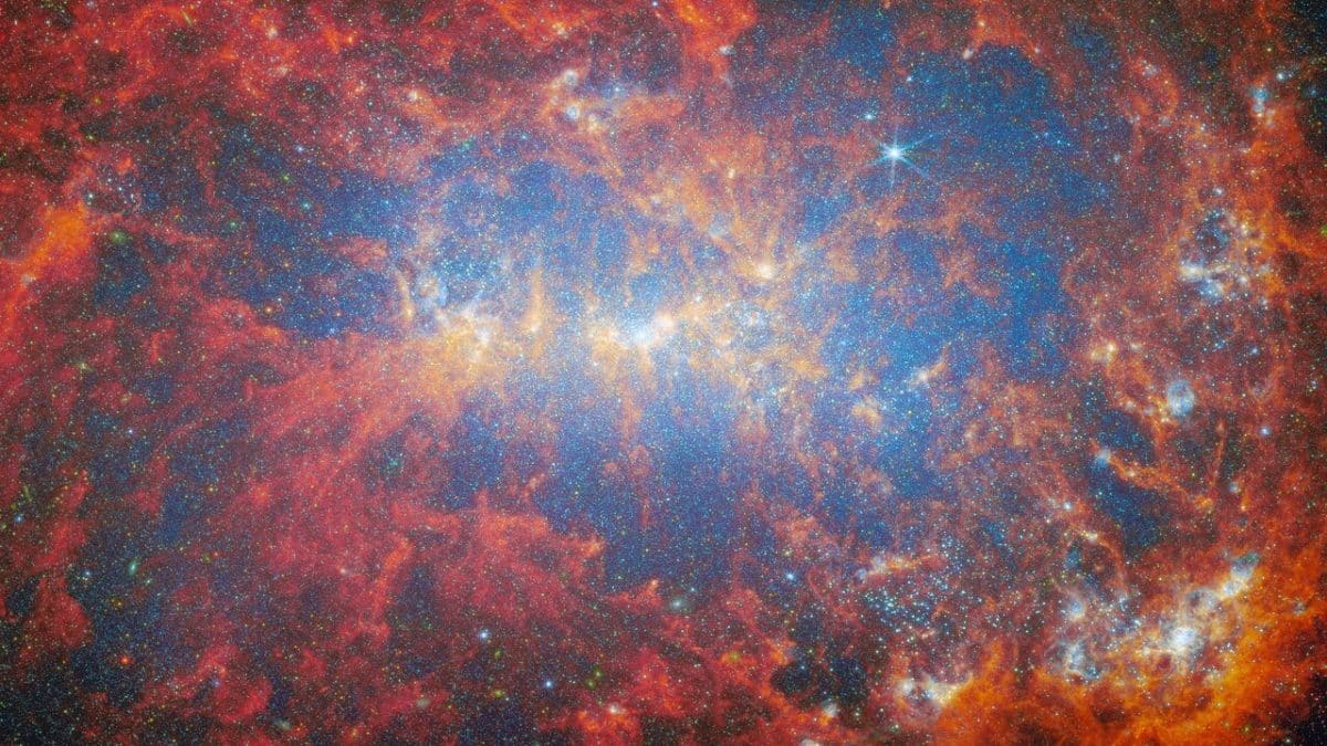 В совокупности данные NIRCam и MIRI представляют прекрасное изображение галактики, переживающей бурную фазу звездообразования / © ESA / Webb / NASA & CSA / A. Adamo (Stockholm University) and the FEAST JWST team