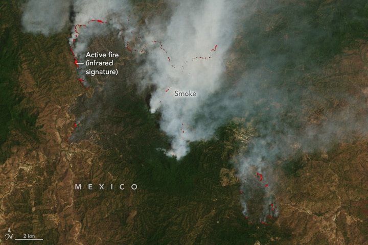 Спутник Landsat 9 заснял дым, поднимающийся от пожаров недалеко от границы Оахаки и Чьяпаса на юге Мексики / © Wanmei Liang / NASA / Landsat / USGS