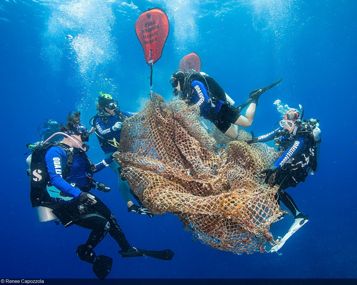 Победитель в категории «Пробудите новые глубины», посвященной проблемам экологии и загрязнения Мирового океана / © Renae Grinnell Capozzola