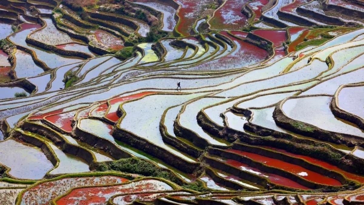 Рэймонд Чжан, 14-летний школьник из Шанхая, получил приз за свою работу «Прогулка по палитре». На снимки запечатлены холмы Южного Китая, похожие на холст художника / © Raymond Zhang