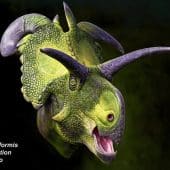 Художественная реконструкция внешнего вида Lokiceratops rangiformis