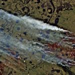 Сокращение льда в Российской Арктике назвали причиной лесных пожаров в Сибири