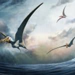Палеонтологи описали нового птерозавра и рассказали, зачем ему был нужен гигантский язык