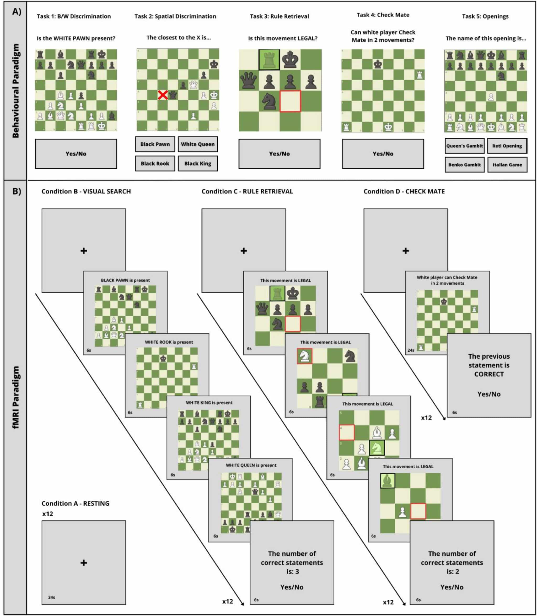 Поведенческий эксперимент состоял из задач, которые во время игры решают шахматисты / © University of Barcelona, Cortex, Victor Cepero-Escribano et al.
