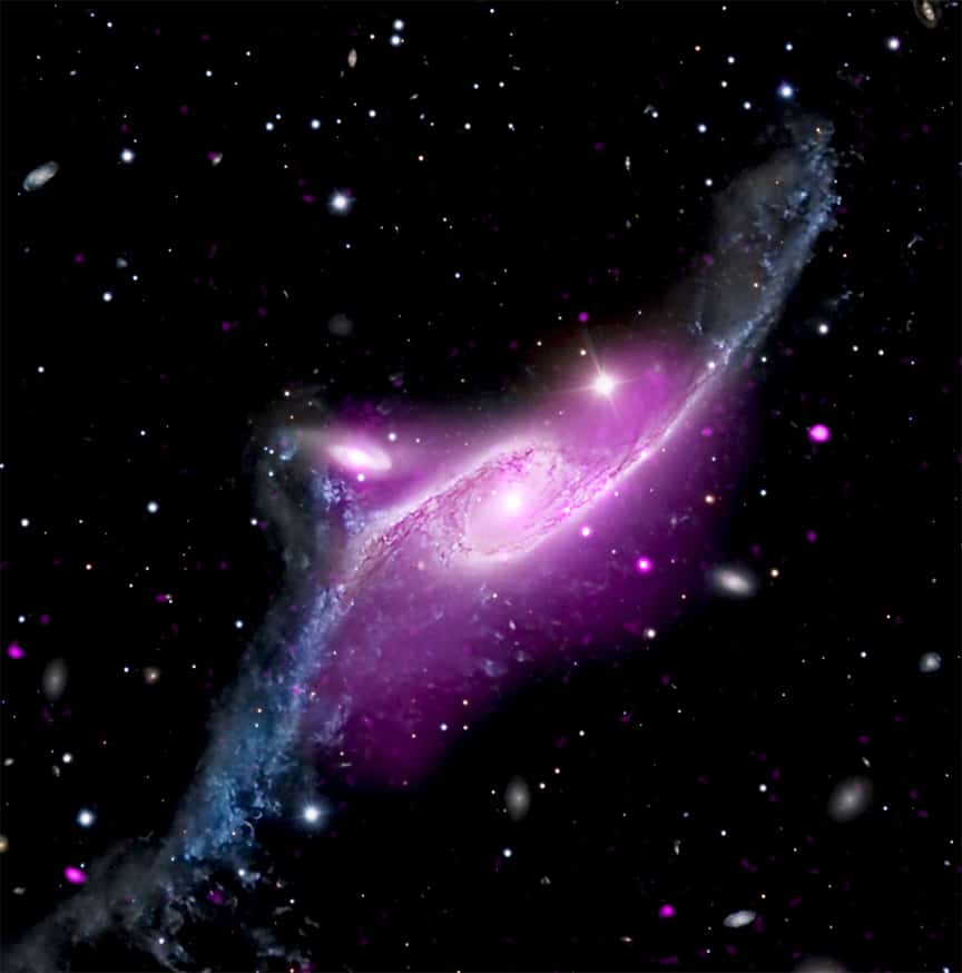  Спиральная галактика NGC 6872 в созвездии Павлин / © NASA / SAO / CXC