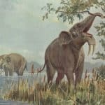 Древних людей, а не изменение климата, назвали причиной гибели родственников слонов