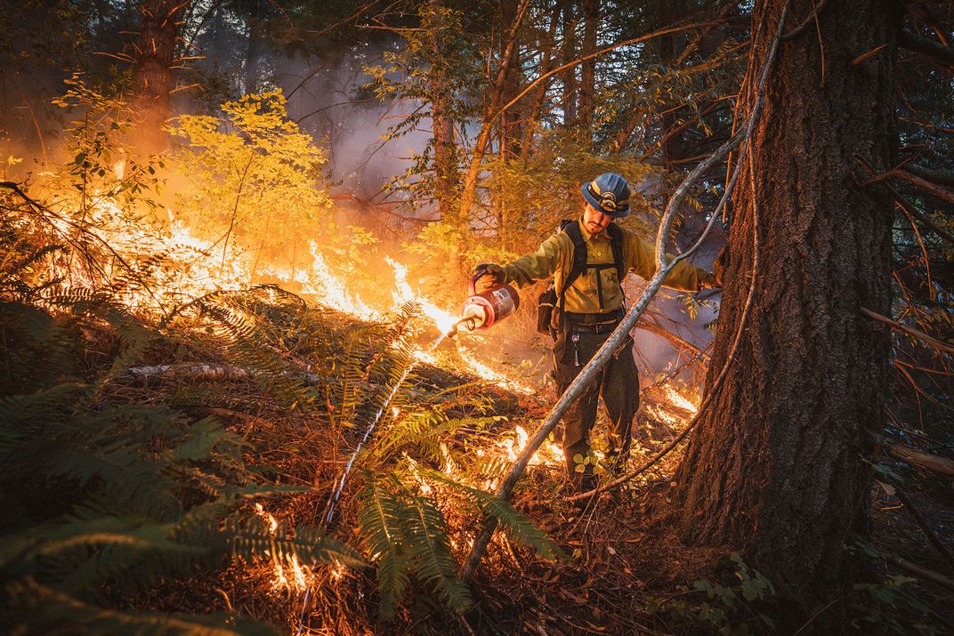 Победитель в номинации «Человек и природа». Лесной пожар в Калифорнии / © Maddy Rifka