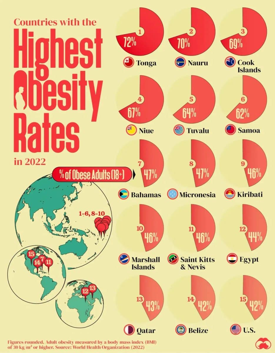 Страны с самыми высокими показателями ожирения у взрослых / © Voronoi  