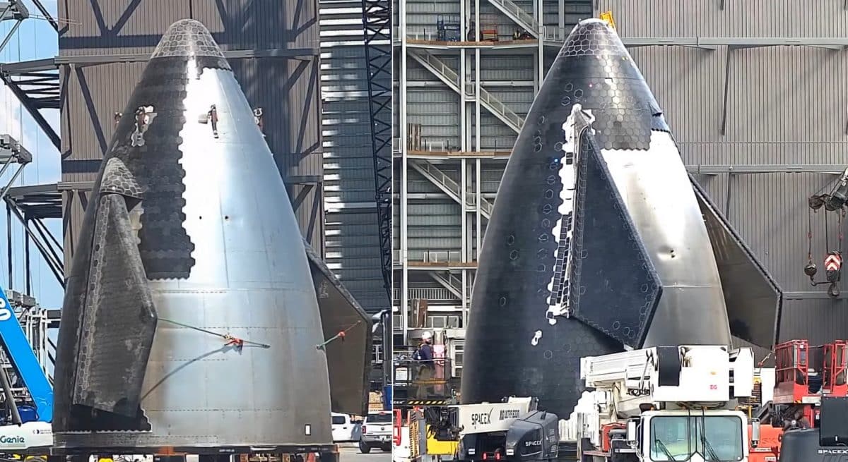 Сравнение разных поколений Starship (слева — V1, справа — V2) / © Starship Gazer / SpaceX