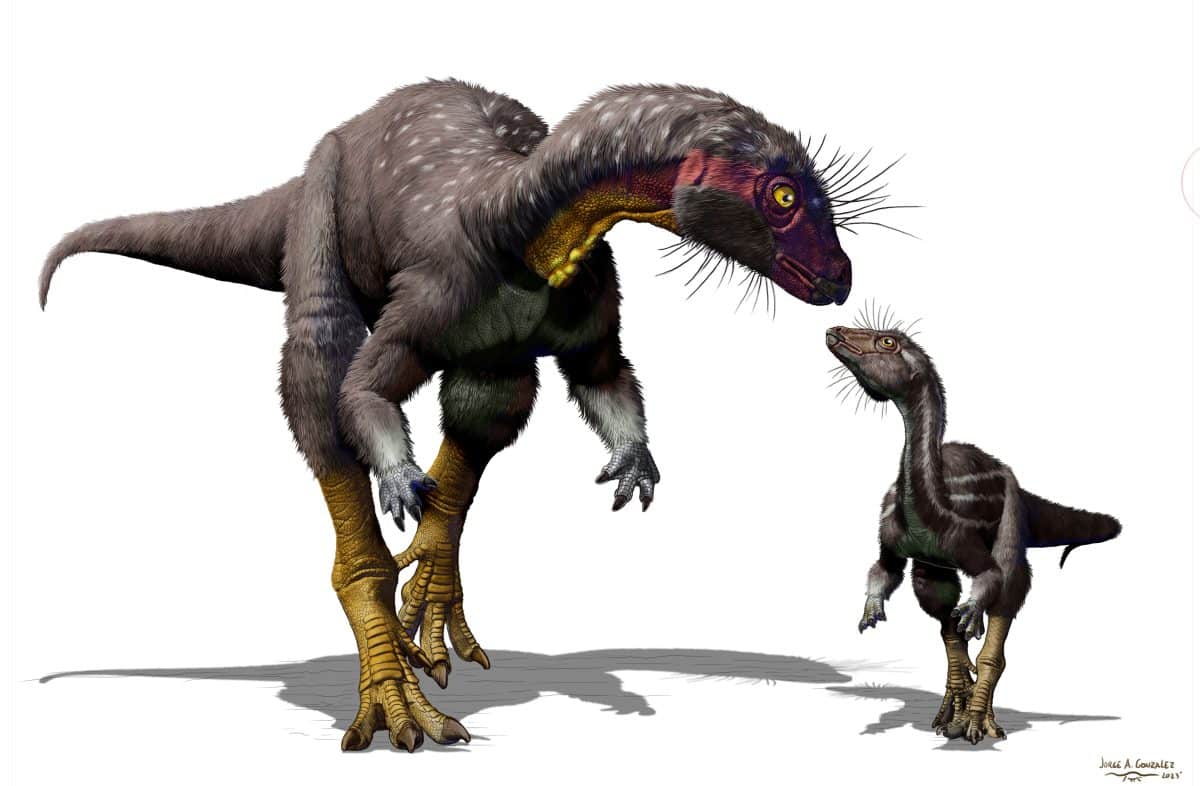 Растительноядный динозавр Fona herzogae