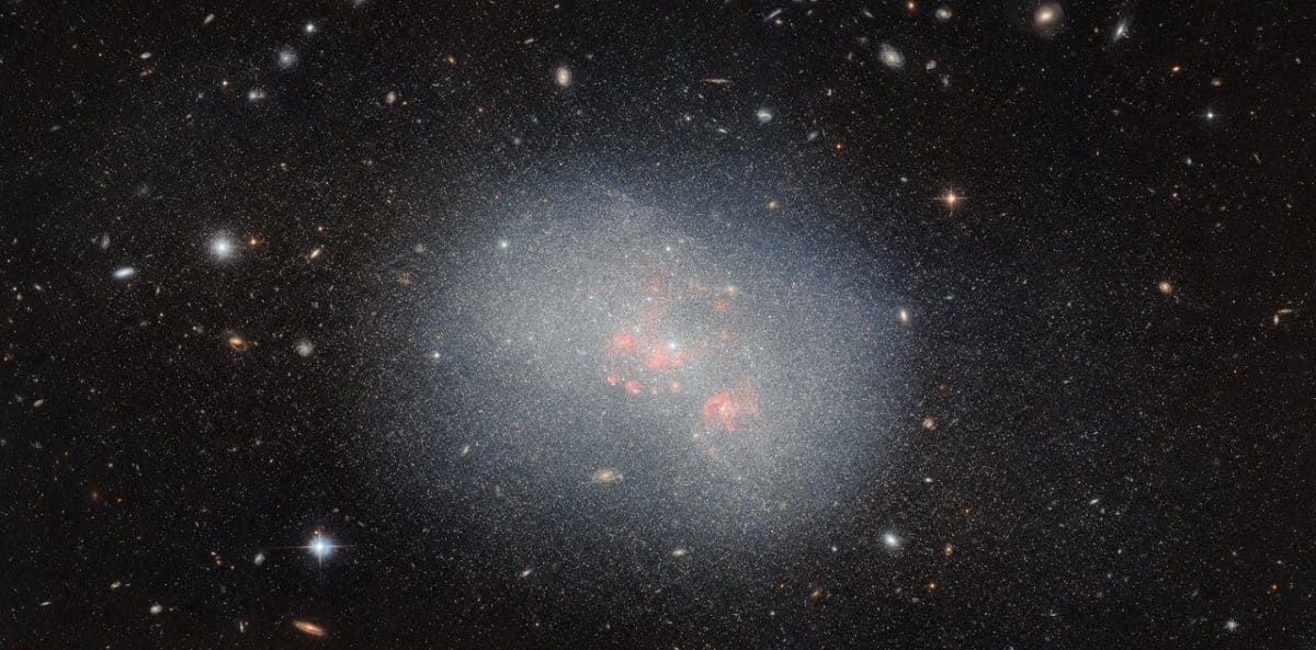 Карликовая неправильная галактика NGC 5238 / © ESA / Hubble & NASA, F. Annibali