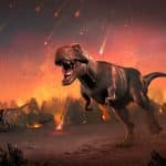 Вымирание динозавров, вероятно, помогло распространению винограда