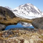 Ученые нашли следы зеленой тундры под ледяным щитом Гренландии