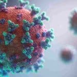 ВОЗ опубликовала список патогенов, которые могут вызвать следующую пандемию