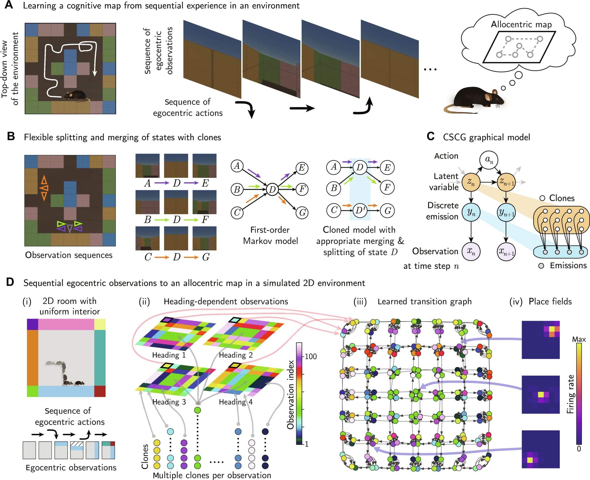 Пространство как последовательность: психофизиологи смоделировали, как мозг ориентируется на местности 1 Согласно новой модели, мозг обрабатывает пространственную информацию как последовательность наблюдений / © Rajkumar Vasudeva Raju et al., Google DeepMind, Science