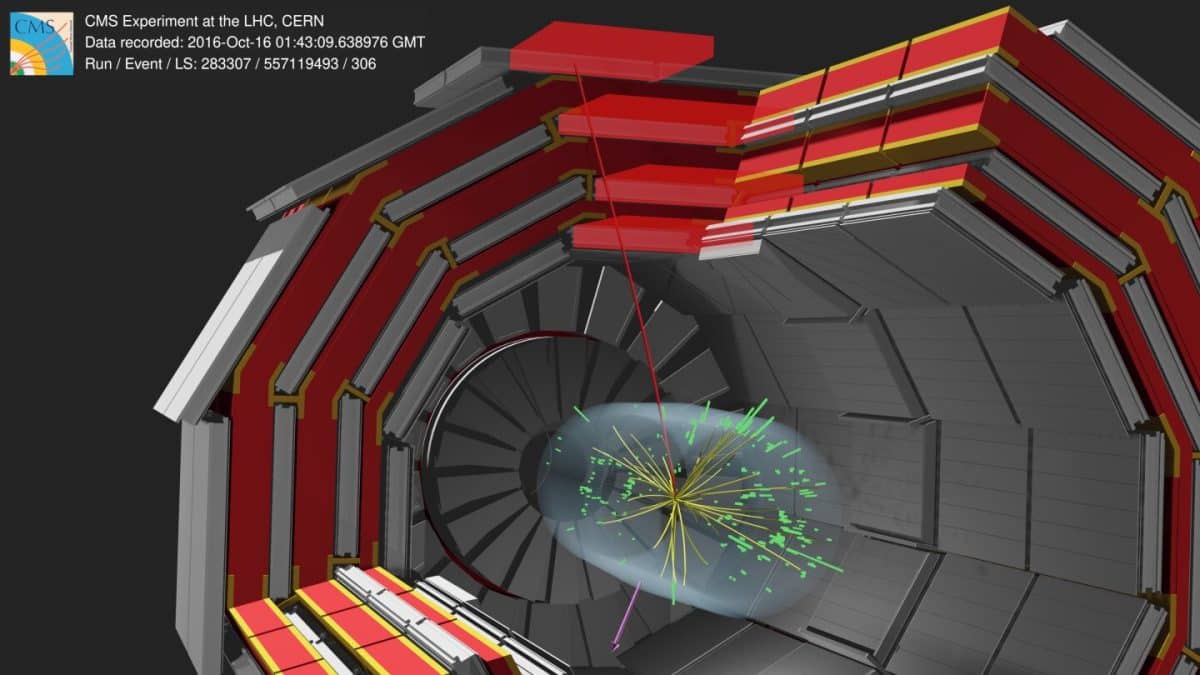 Схема предположительного момента распада W-бозона на мюон и нейтрино / © CMS/CERN