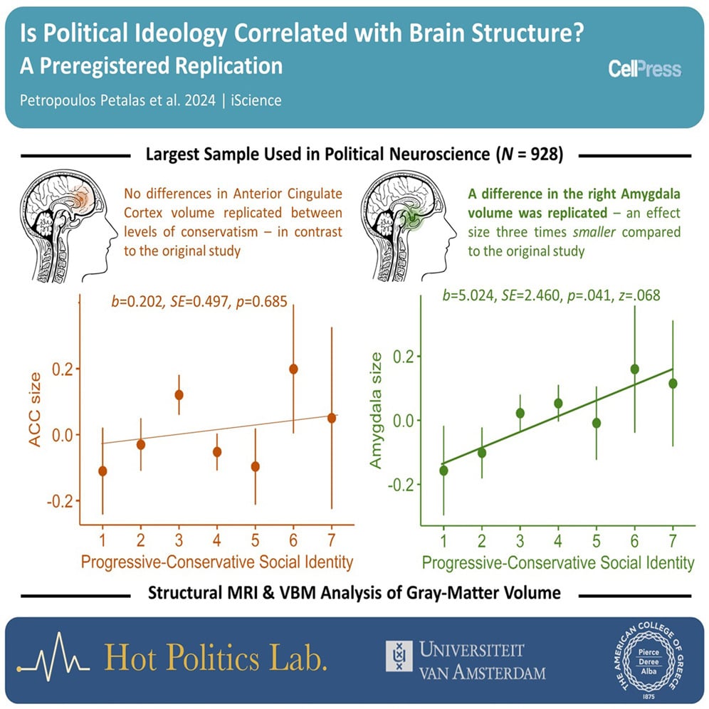 Психологи проверили результаты предыдущего исследования о связи идеологии и строения двух областей головного мозга / © Diamantis Petropoulos Petalas et al., UvA, iScience