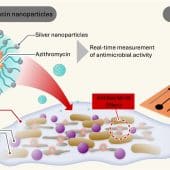 Схема работы метода / © National Institute of Advanced Industrial Science and Technology (AIST)