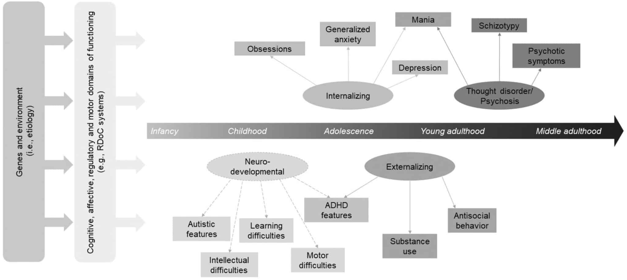 Аутизм, СДВГ и неспособность к обучению предложили не разделять 1 Концепция «спектра развития нервной системы» фокусируется на общих характеристиках расстройств развития нервной системы, а также признает, что симптоматика некоторых из них напоминает ряд психических расстройств / © Giorgia Michelini et al., World Psychiatry