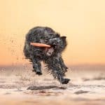 Роль движения в когнитивном развитии