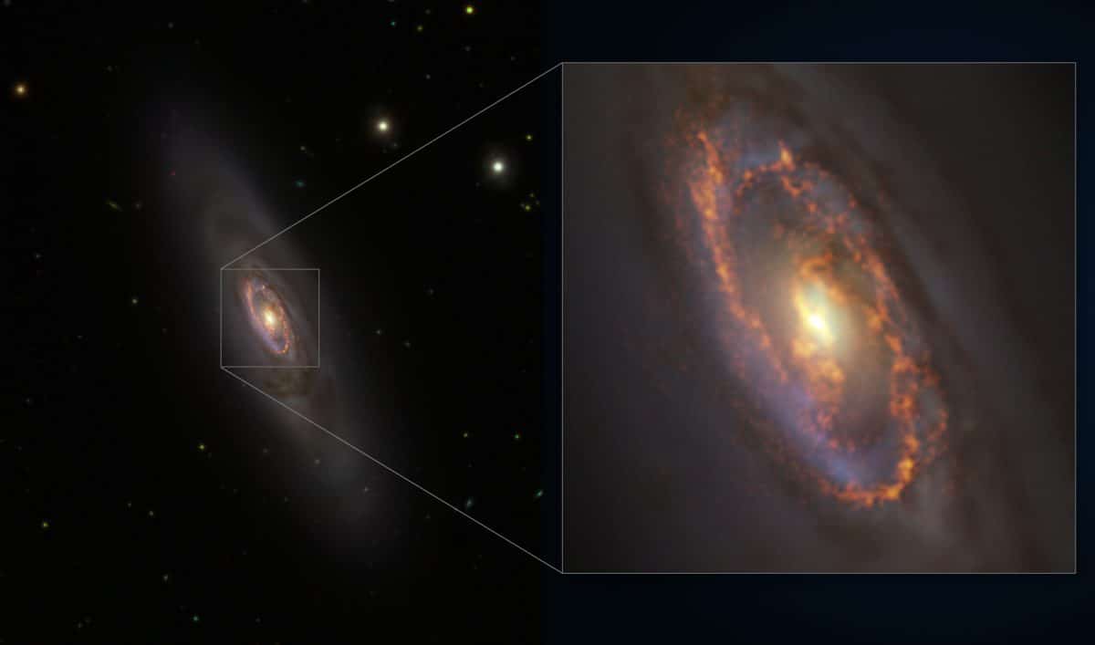 Галактика NGC 1386 © / ESO / ALMA (ESO / NAOJ / NRAO) / Prieto et al. / Fornax Deep Survey