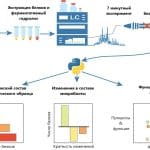 Микробиологи научились за семь минут оценивать видовой состав и активность бактерий