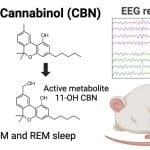 Способность компонента каннабиса улучшать сон впервые научно подтвердили