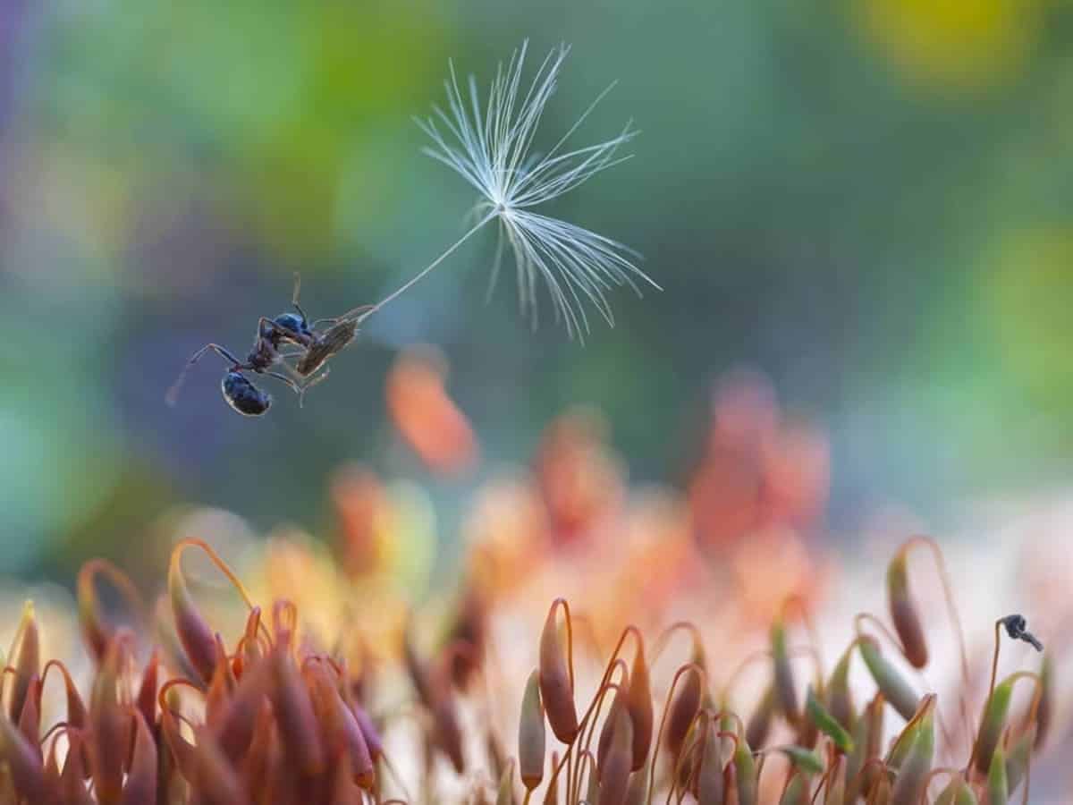 Финалист reFocus Color Photography Awards / © Fabio Sartori