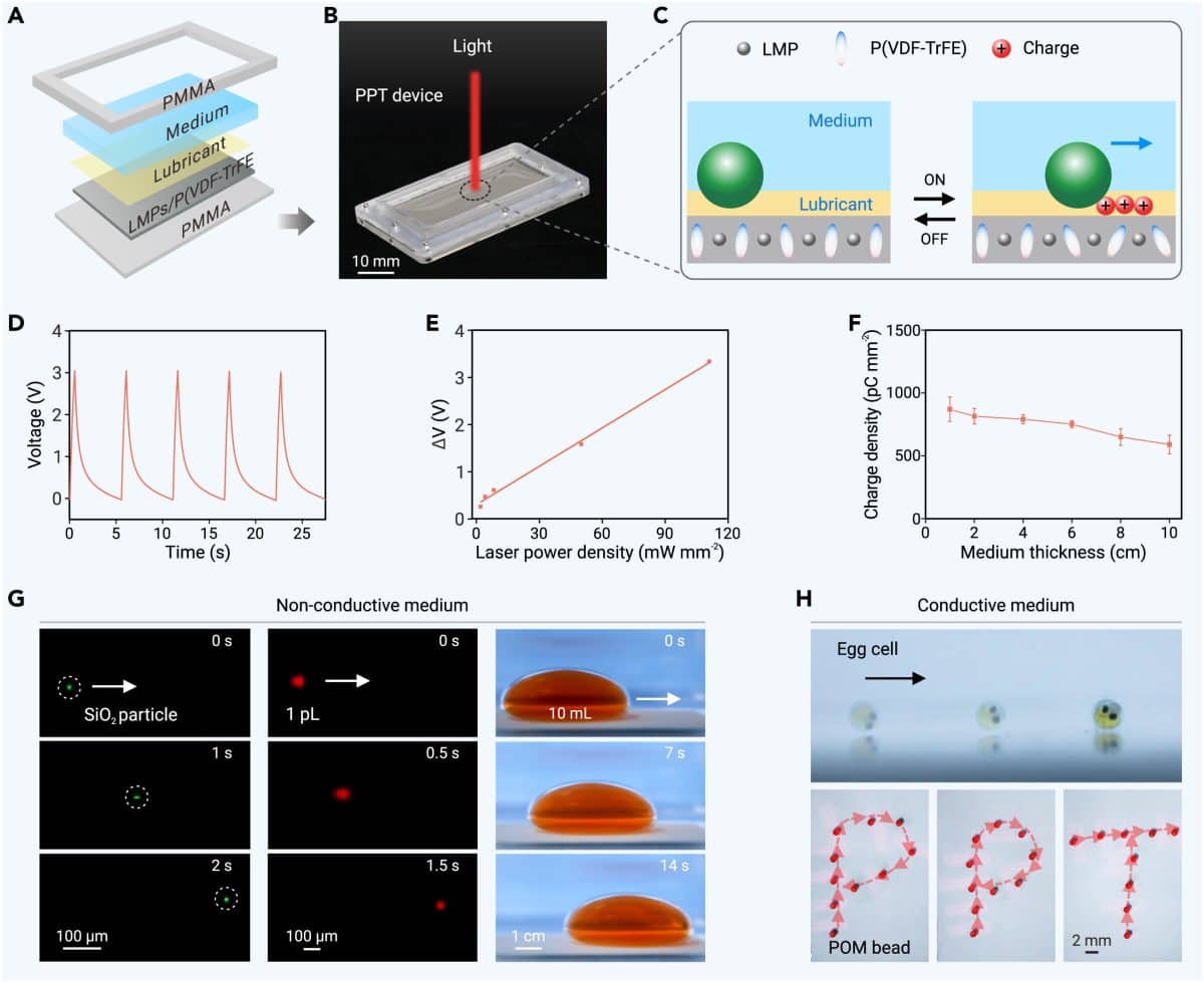 (A) Схематическая иллюстрация устройства PPT, состоящего из жидкой среды, слоя смазки и пленки, зажатой между верхним и нижним слоями из полиметилметакрилата. (B) Фотография платформы PPT, включающей источник NIR-излучения и портативное устройство PPT. Масштаб: 10 мм. (C) Схематическая иллюстрация платформы PPT для манипуляции объектами на основе фотопироэлектрического эффекта. (D) Выходное напряжение устройства PPT при воздействии NIR-излучения. (E) Изменение напряжения возрастает с 0,26 до 3,34 ватта при увеличении плотности мощности лазера от 2 до 111 милливатт на квадратный миллиметр. (F) Плотность заряда, индуцированного светом в PPT, меняется незначительно при увеличении толщины слоя силиконового масла. (G) Манипуляция пятимикрометровой частицей диоксида кремния, каплей воды объемом один пиколитр и каплей воды объемом 10 микролитров в силиконовом масле. (H) Манипуляция живой яйцеклеткой японской медаки диаметром один миллиметр и временная траектория одномиллиметрового шарика из полиоксиметилена в проводящей среде воды. / © The Innovation (2024). DOI: 10.1016/j.xinn.2024.100742