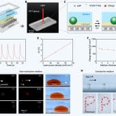 (A) Схематическая иллюстрация устройства PPT, состоящего из жидкой среды, слоя смазки и пленки, зажатой между верхним и нижним слоями из полиметилметакрилата. (B) Фотография платформы PPT, включающей источник NIR-излучения и портативное устройство PPT. Масштаб: 10 мм. (C) Схематическая иллюстрация платформы PPT для манипуляции объектами на основе фотопироэлектрического эффекта. (D) Выходное напряжение устройства PPT при воздействии NIR-излучения. (E) Изменение напряжения возрастает с 0,26 до 3,34 ватта при увеличении плотности мощности лазера от 2 до 111 милливатт на квадратный миллиметр. (F) Плотность заряда, индуцированного светом в PPT, меняется незначительно при увеличении толщины слоя силиконового масла. (G) Манипуляция пятимикрометровой частицей диоксида кремния, каплей воды объемом один пиколитр и каплей воды объемом 10 микролитров в силиконовом масле. (H) Манипуляция живой яйцеклеткой японской медаки диаметром один миллиметр и временная траектория одномиллиметрового шарика из полиоксиметилена в проводящей среде воды. / © The Innovation (2024). DOI: 10.1016/j.xinn.2024.100742