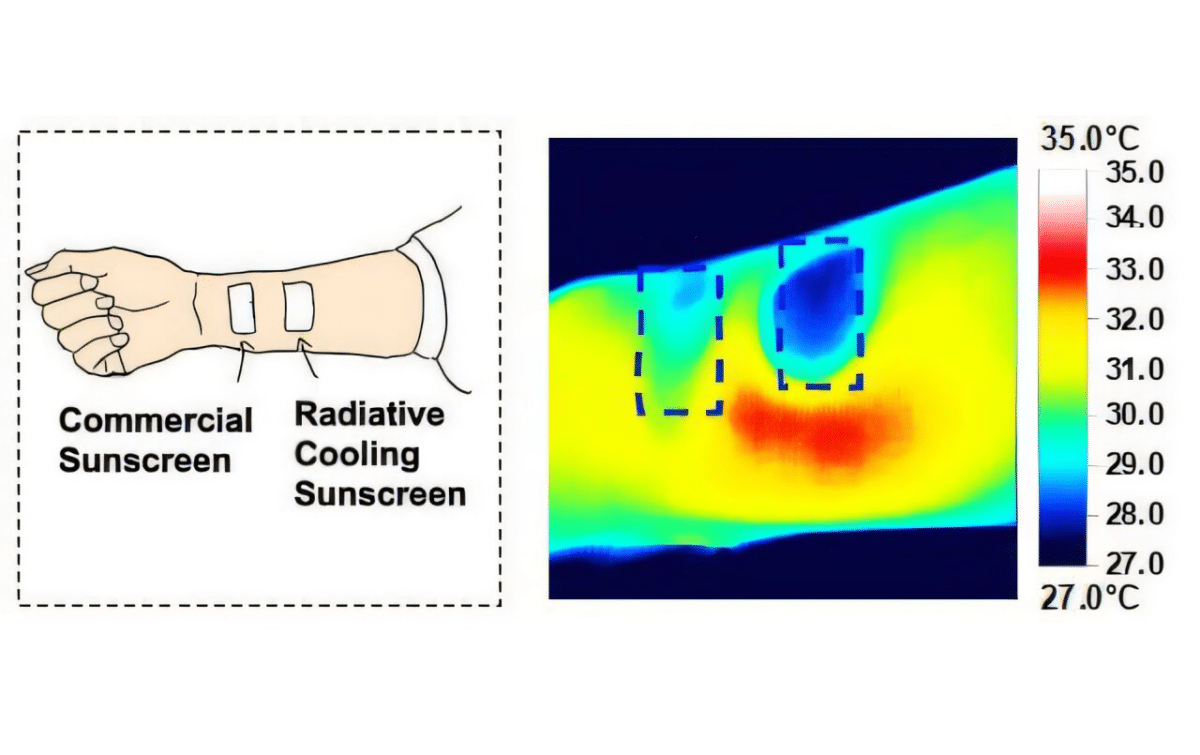 Прототип солнцезащитного крема SPF 50 использует радиационное охлаждение, чтобы защитить кожу от УФ-лучей и охладить ее. По сравнению с коммерческим солнцезащитным кремом, новая формула сохраняет кожу прохладнее при измерении с помощью тепловой камеры (синяя область на правом изображении) / © Nano Letters 2024, DOI: 10.1021/acs.nanolett.4c04969