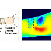 Прототип солнцезащитного крема SPF 50 использует радиационное охлаждение, чтобы защитить кожу от УФ-лучей и охладить ее. По сравнению с коммерческим солнцезащитным кремом, новая формула сохраняет кожу прохладнее при измерении с помощью тепловой камеры (синяя область на правом изображении) / © Nano Letters 2024, DOI: 10.1021/acs.nanolett.4c04969