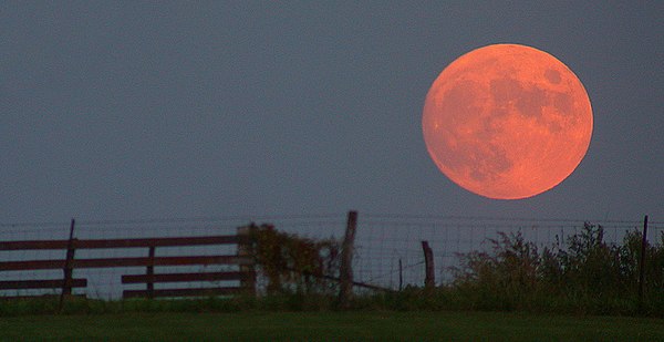 Естественно, на фотоснимках Луны всегда выглядит маленькой, даже у горизонта. Чтобы сделать ее у горизонта визуально больше, какой она нам видится субъективно, фотографы прибегают к разным ухищрением или даже прямому редактированию снимка / © Wikimedia Commons