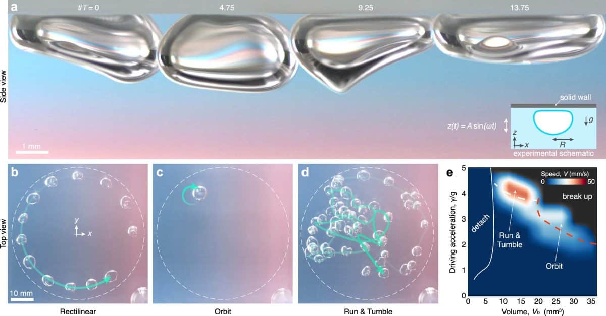 Детали разных способов движения «галопирующих» пузырьков / © Nature Communications (2025). DOI: 10.1038/s41467-025-56611-5