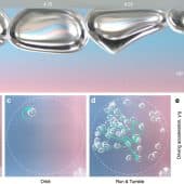 Детали разных способов движения «галопирующих» пузырьков / © Nature Communications (2025). DOI: 10.1038/s41467-025-56611-5