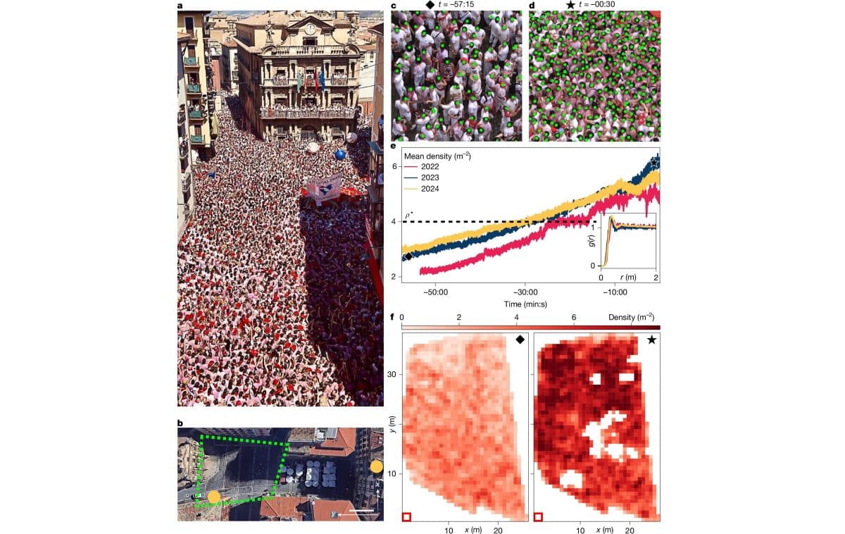 Толма в Памплоне, Испания / © Nature (2025). DOI: 10.1038/s41586-024-08514-6